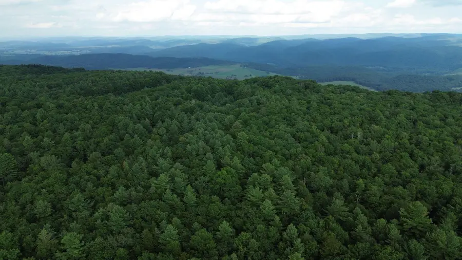 300 Droop Mountain Rd., Hillsboro, WV 24946 - #3