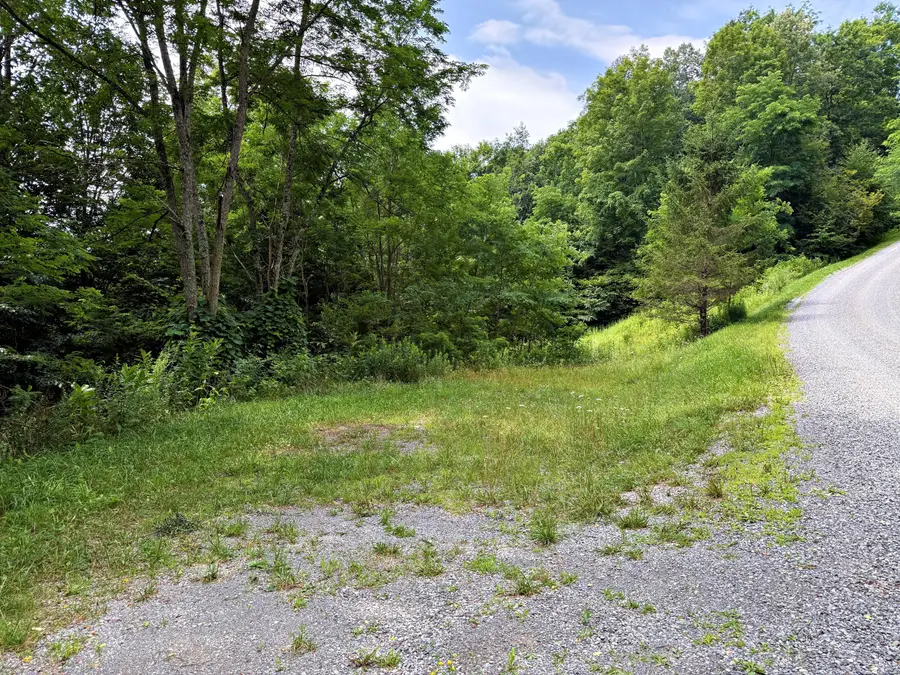 117 Northern Trail, Slatyfork, WV 26291 - #3