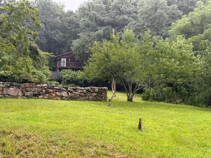 4327 Trout Run Rd, Waiteville, WV 24984 - #2
