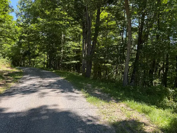 9 Lower Cherry Grove, Slatyfork, WV 26291