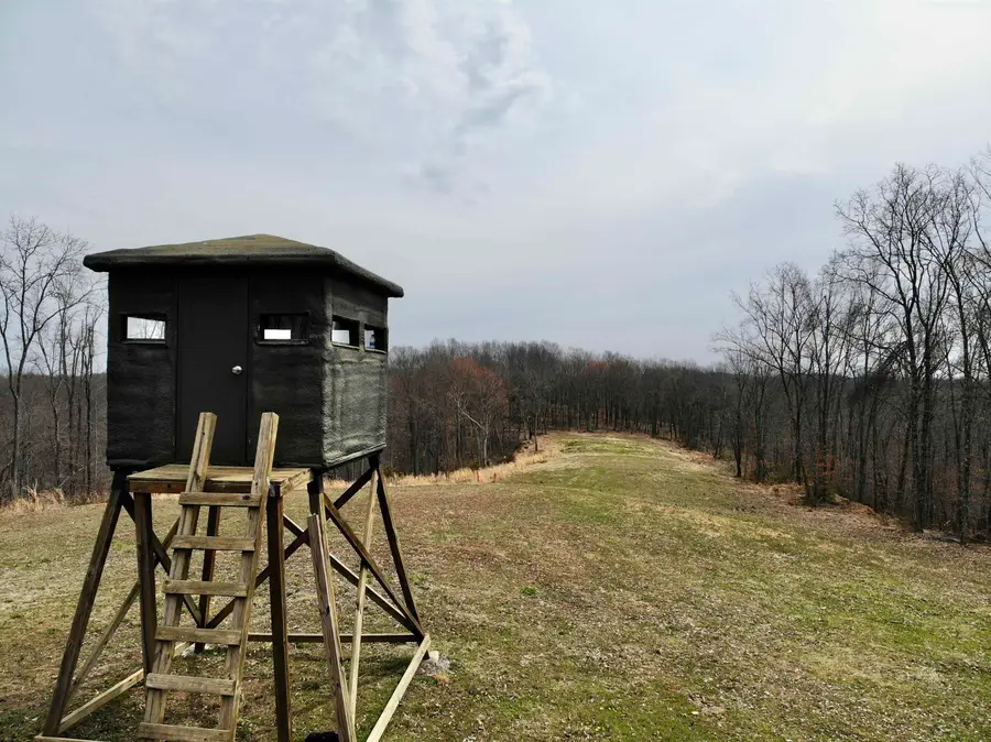 0 Little Buffalo Creek, West Hamlin, WV 25571 - Image #2