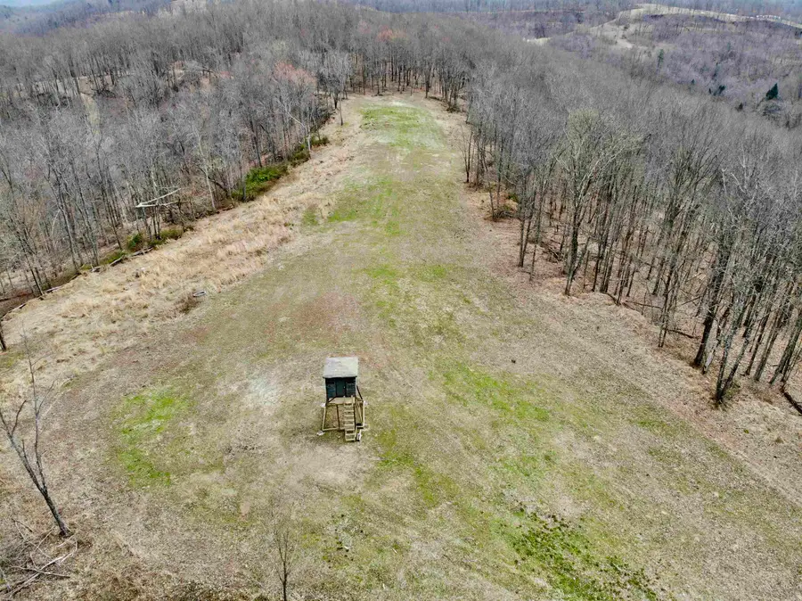 0 Little Buffalo Creek, West Hamlin, WV 25571 - Image #3