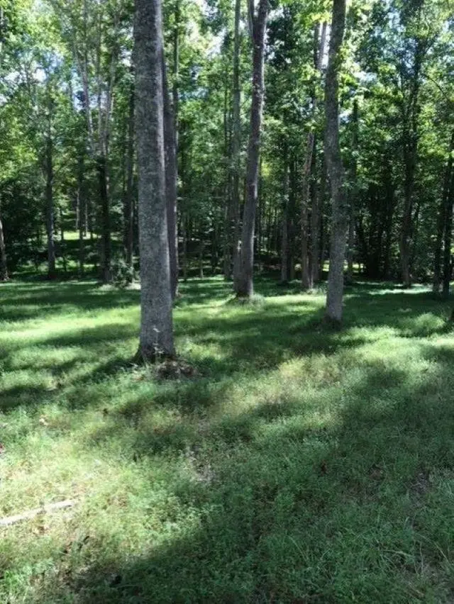 Anthony Lane, Kenova, WV 25530 - Image #2