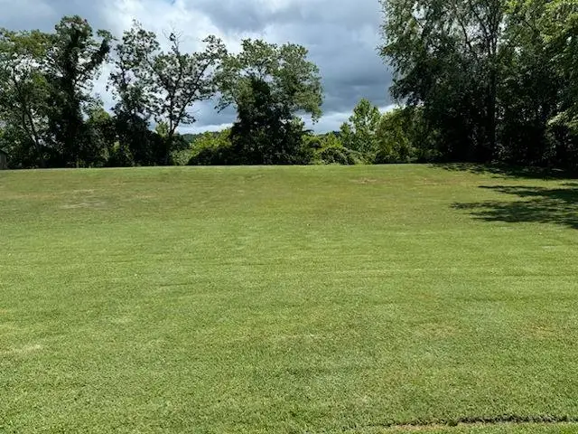 #3