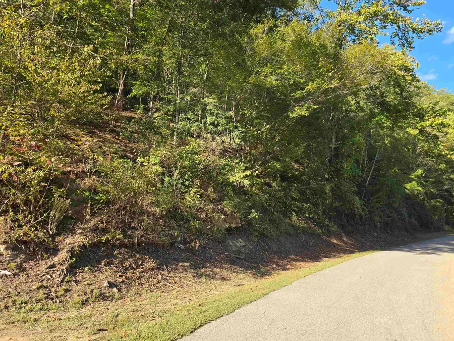 19 Spillway Road, East Lynn, WV 25512 - Image #2