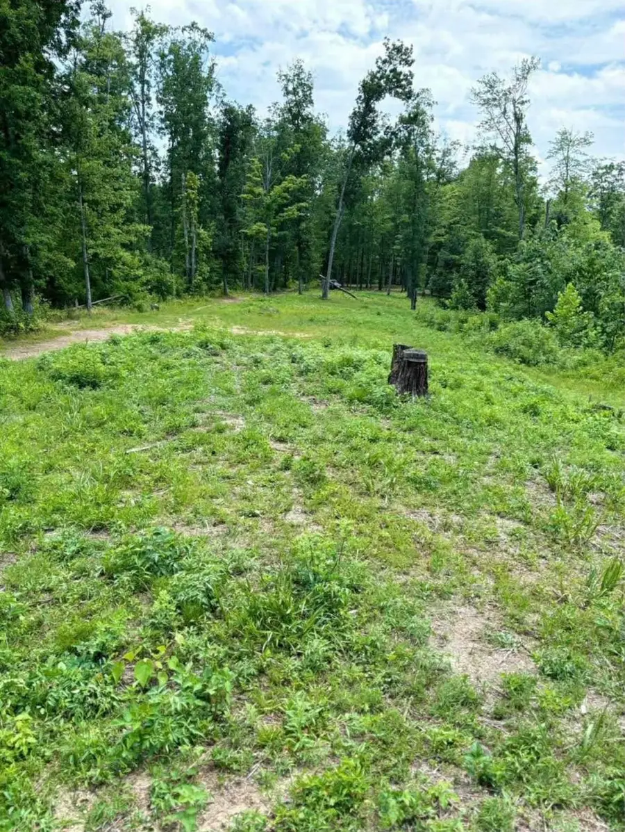 00 county rd. 41, Dunlow, WV 25511 - Image #2