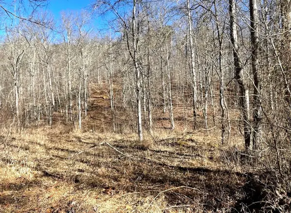 0 Two Mile Creek Road, Wayne, WV 25570