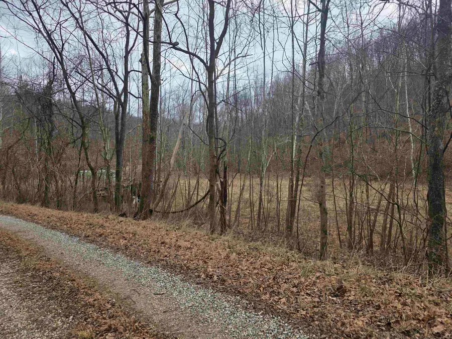 1007 Dry Branch Lane, Apple Grove, WV 25502 - Image #3