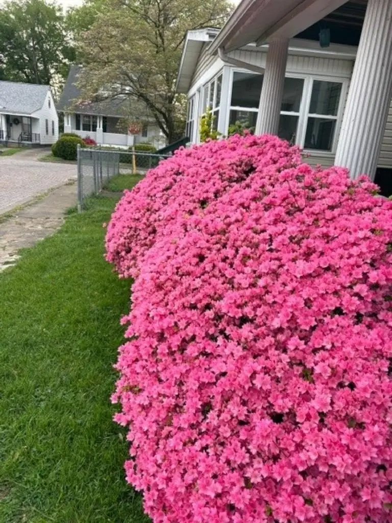 2505 Smith St W, Huntington, WV 25704 - Image #2