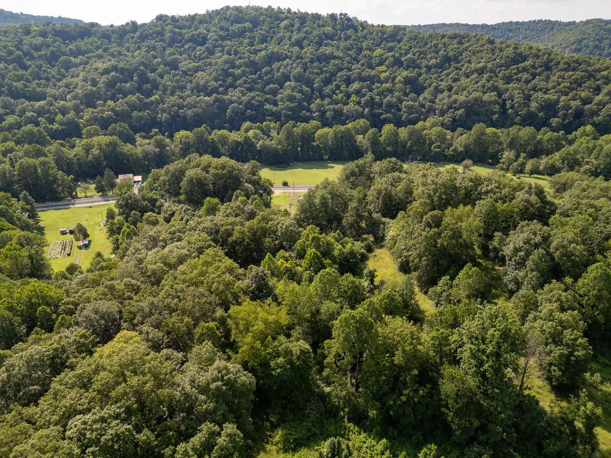 40 Two Mile Road, Branchland, WV 25506 - #1