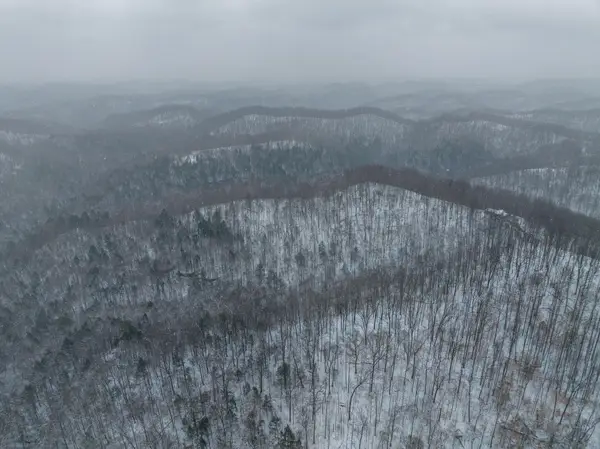 3592 Perry Ridge Rd, Dunlow, WV 25511