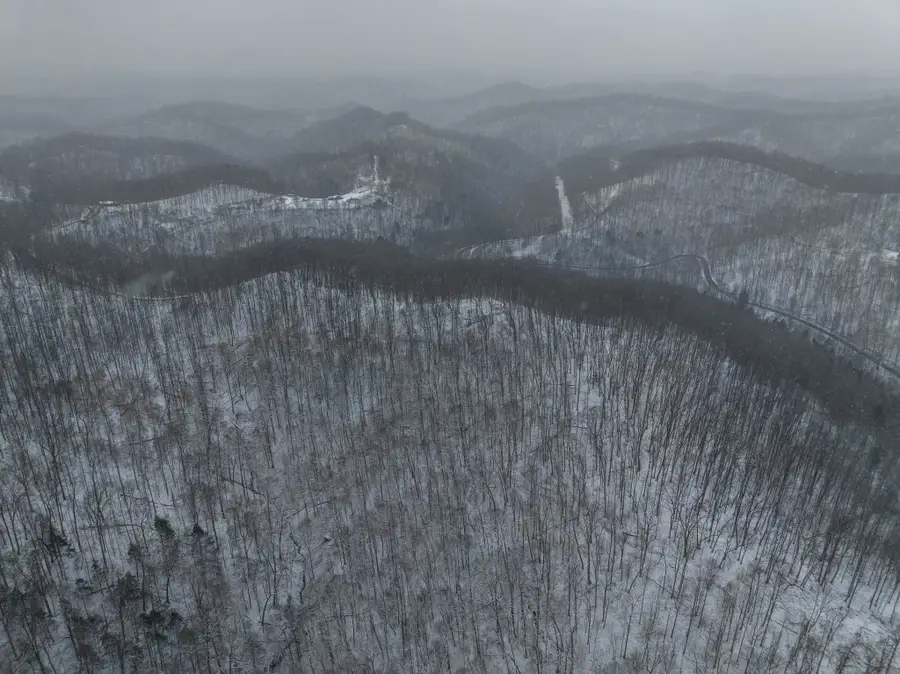 3592 Perry Ridge Rd, Dunlow, WV 25511 - #3