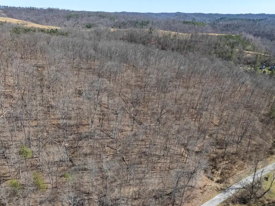 6401 Big Hurricane Creek Road, Fort Gay, WV 25514 - #2