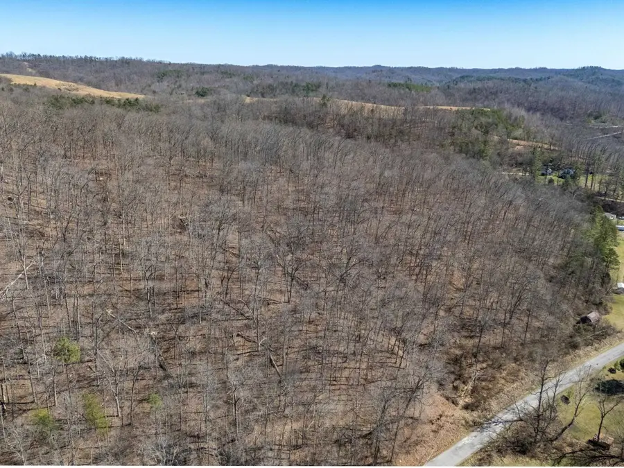 6401 Big Hurricane Creek Road, Fort Gay, WV 25514 - #3