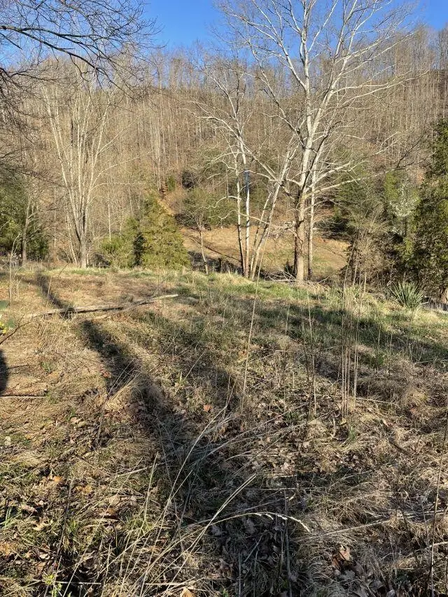 6384 Camp Creek Rd., Huntington, WV 25701 - #2