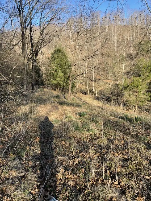 6384 Camp Creek Rd., Huntington, WV 25701 - #3