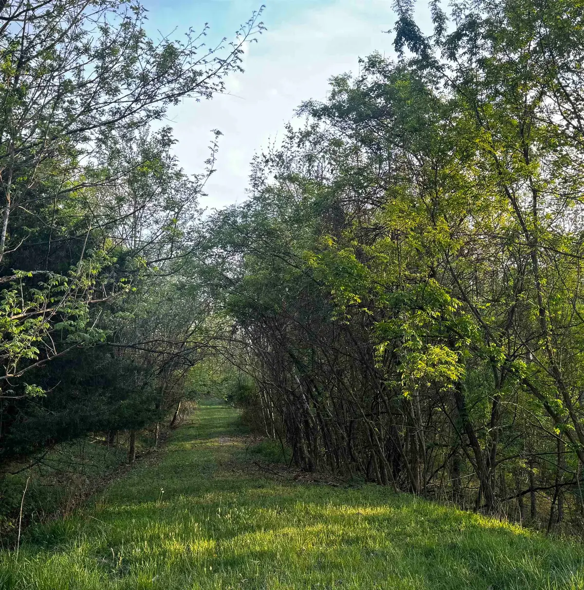 Lots 34 & 35 Jo Lin Estates, Huntington, WV 25704 - #1