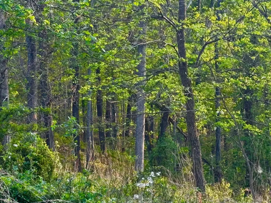 Lots 34 & 35 Jo Lin Estates, Huntington, WV 25704 - #3