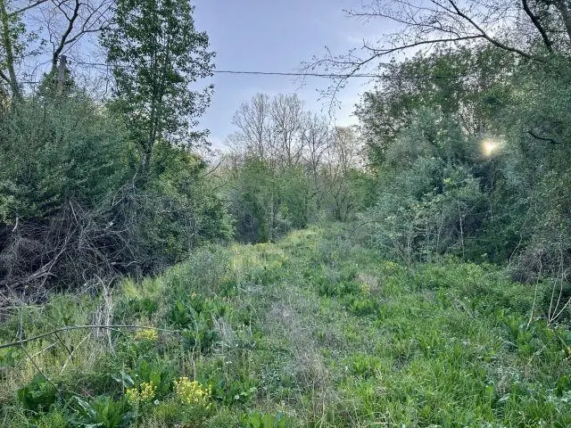 5.383 AC Falls Branch Rd., Lavalette, WV 25535 - #3