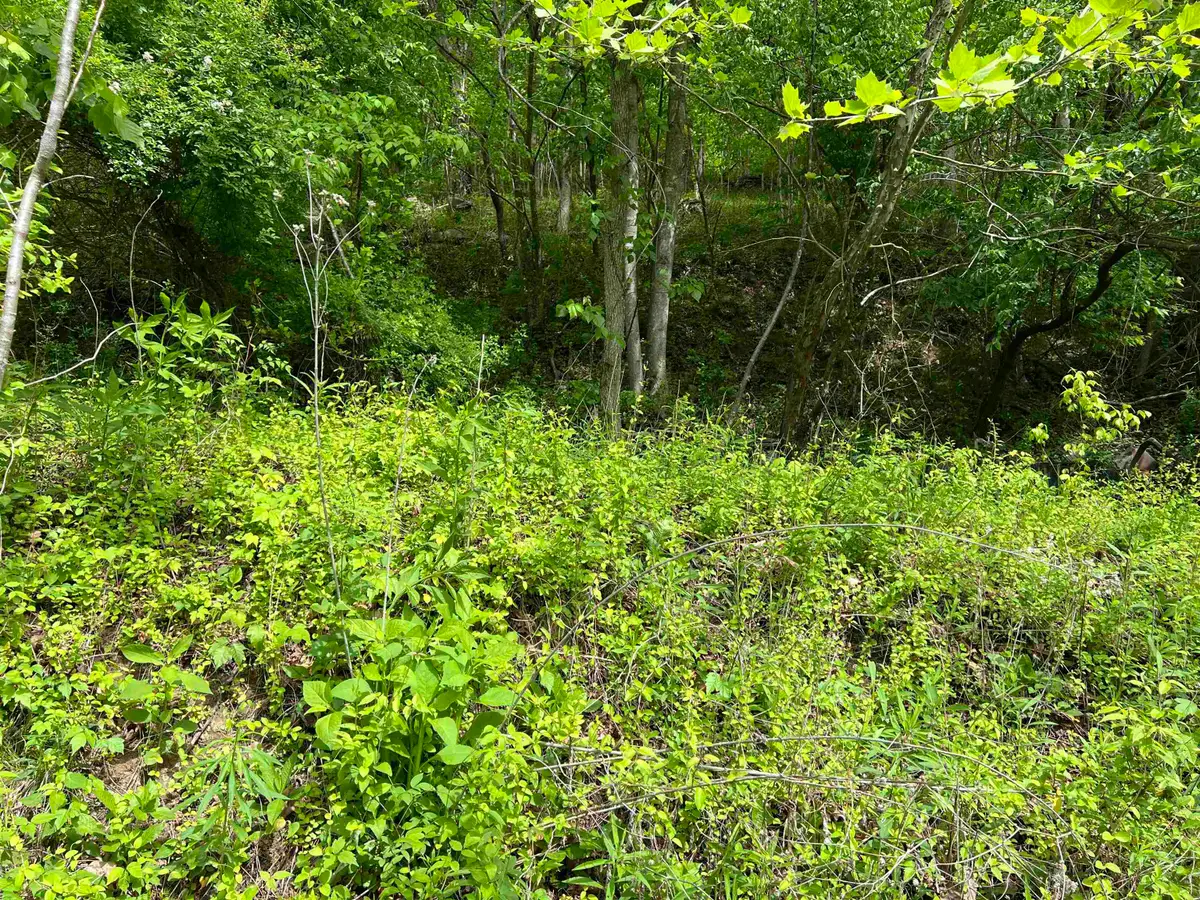 19787 East Lynn Road, East Lynn, WV 25512 - #1