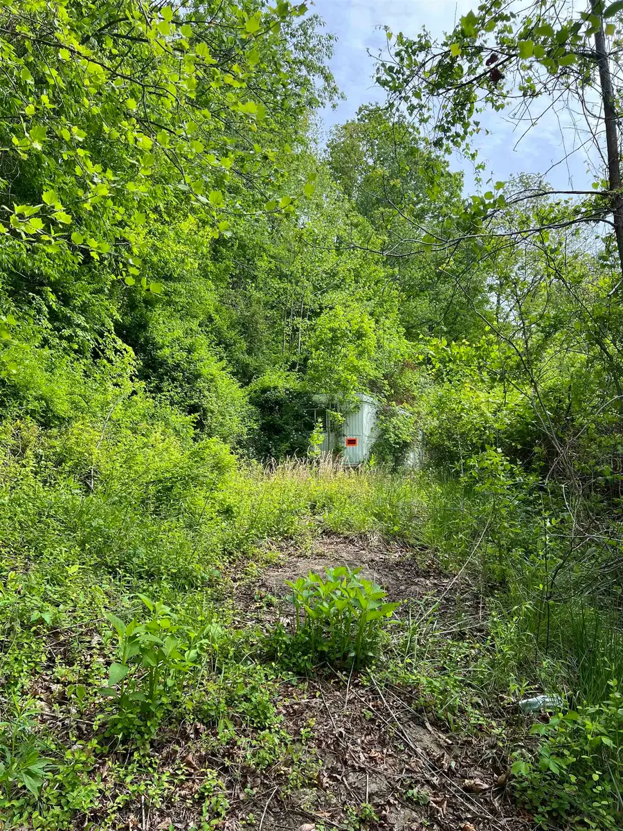 19787 East Lynn Road, East Lynn, WV 25512 - #3