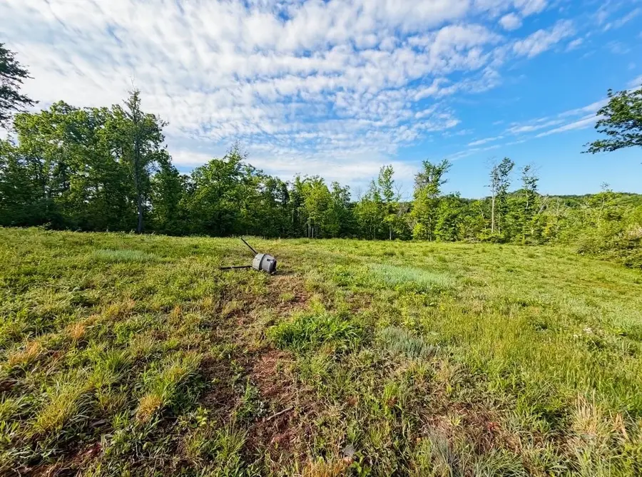 000 Blue Sulphur Road, Ona, WV 25545 - #2