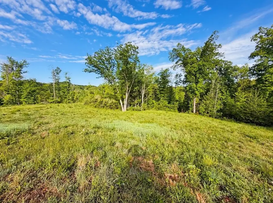 000 Blue Sulphur Road, Ona, WV 25545 - #3