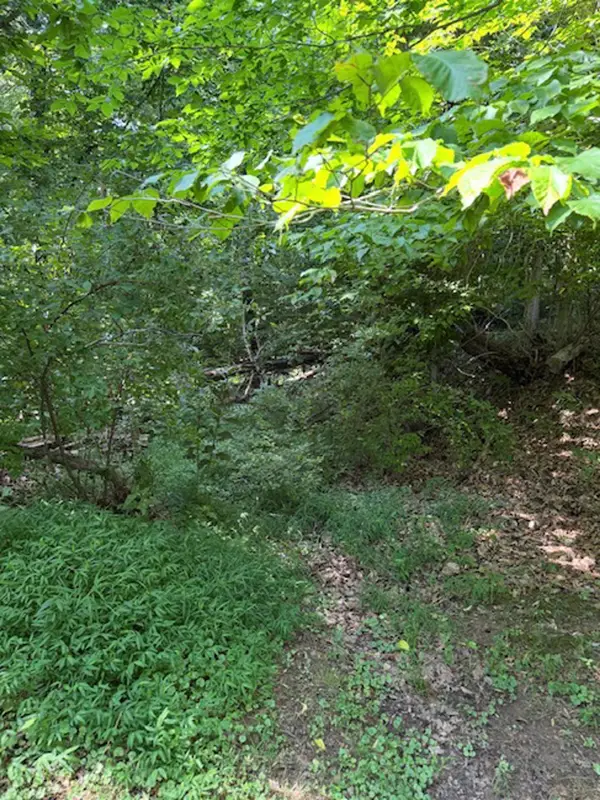 Amey Drive, Barboursville, WV 25504