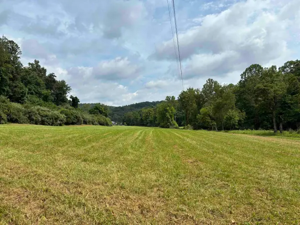 0 Buckskin Road, Prichard, WV 25555