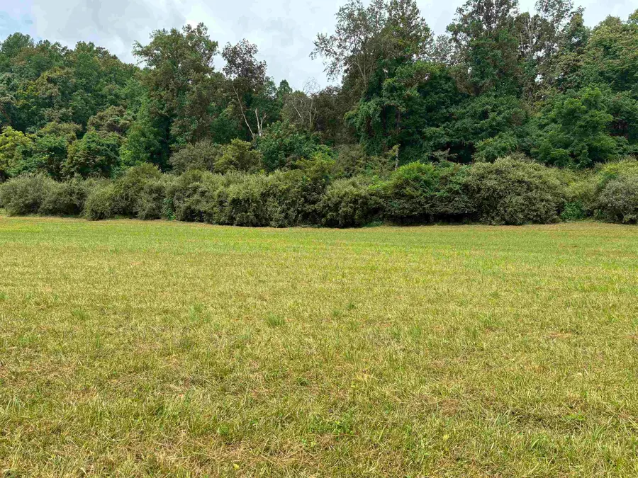 0 Buckskin Road, Prichard, WV 25555 - #2