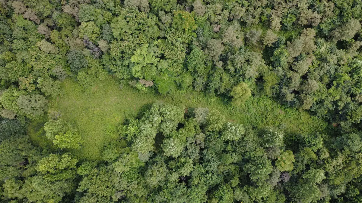 Land Merritts Creek Road, Huntington, WV 25702 - #1