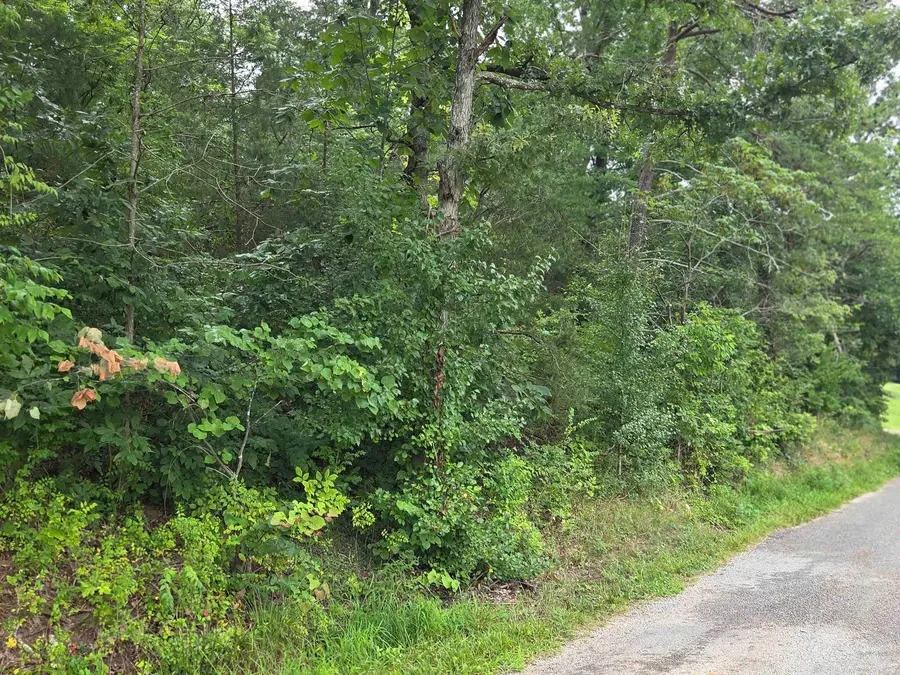 0 Township Road 186, Proctorville, OH 45669 - #3