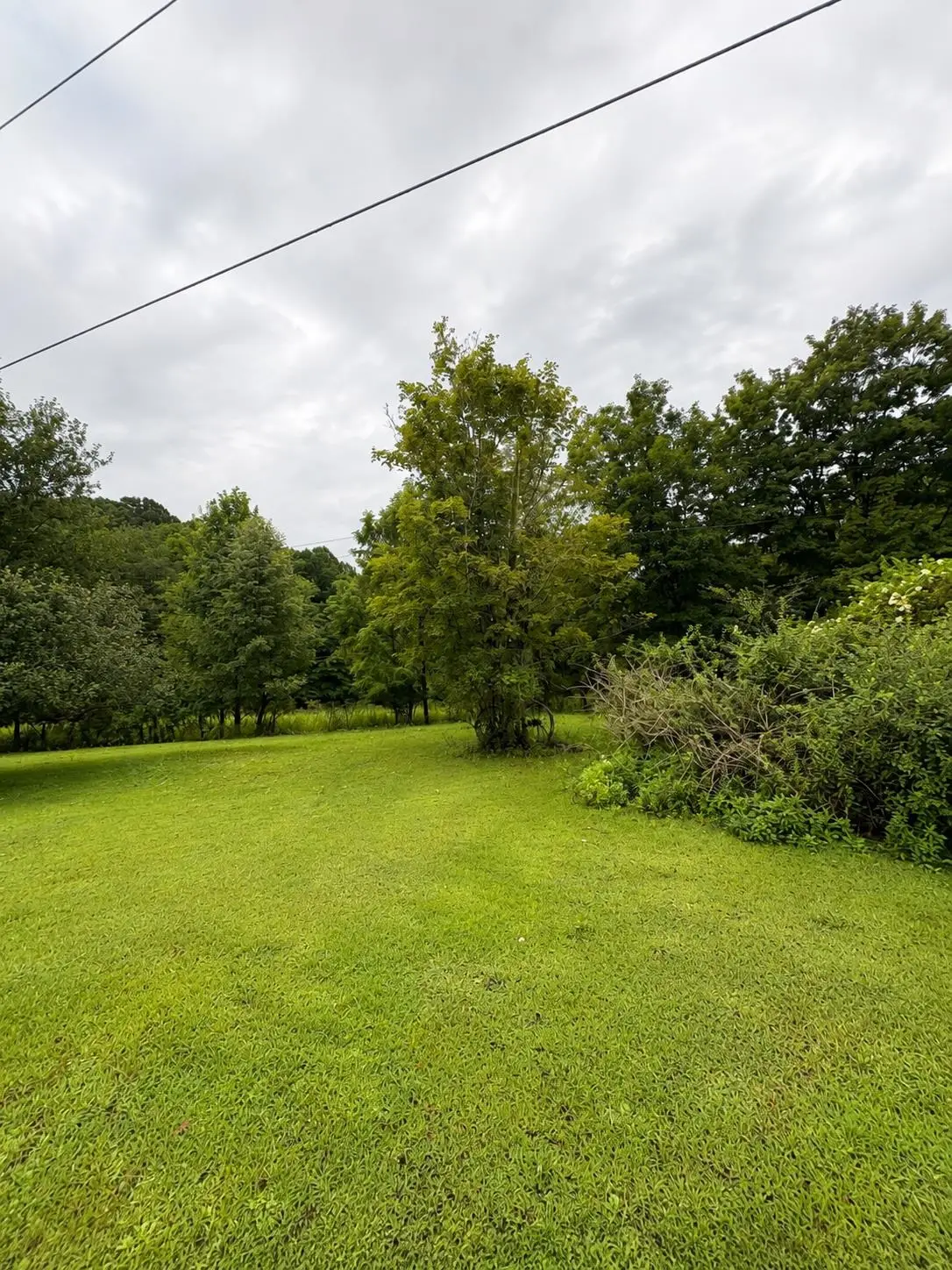1298 Nile Road, Summersville, WV 26651 - #1