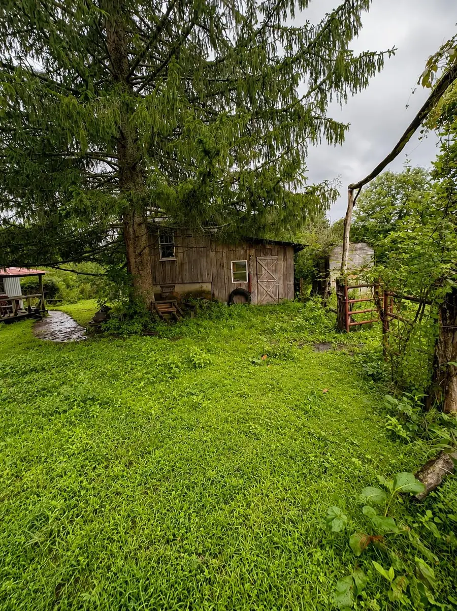 1298 Nile Road, Summersville, WV 26651 - #2