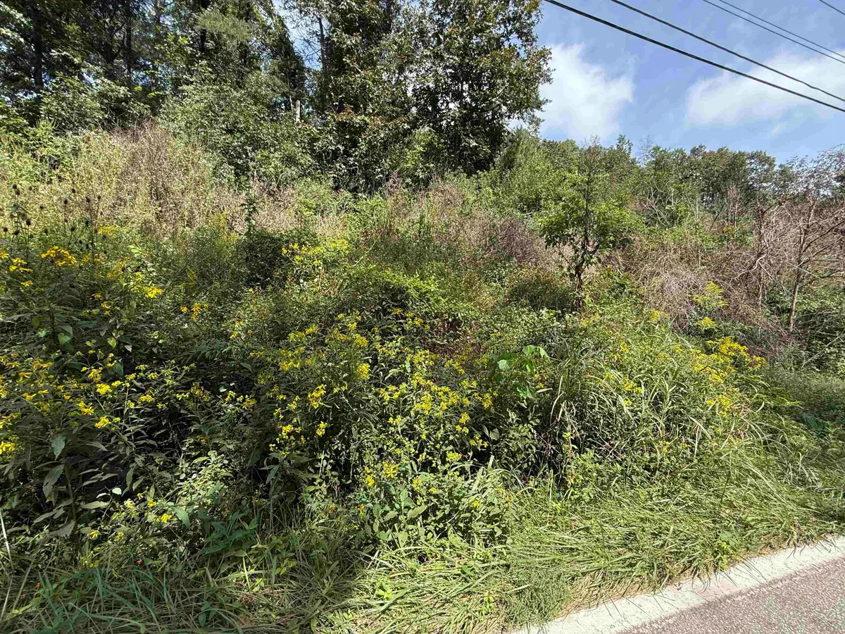 0 East Mud River Road, Milton, WV 25541 - #1