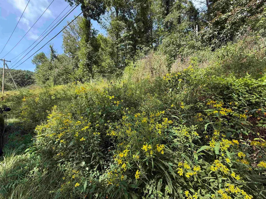 0 East Mud River Road, Milton, WV 25541 - #2