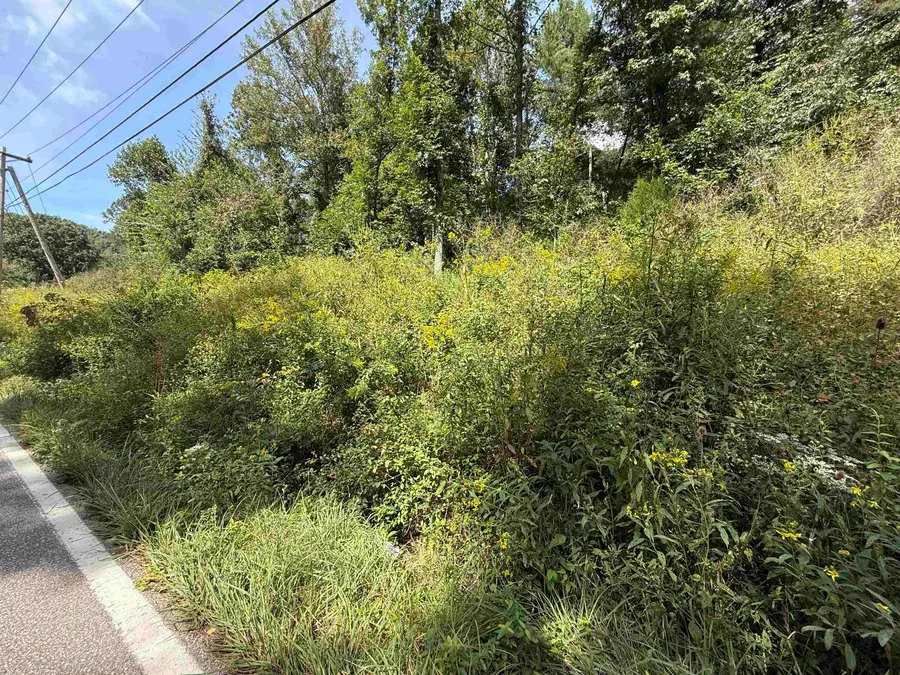0 East Mud River Road, Milton, WV 25541 - #3