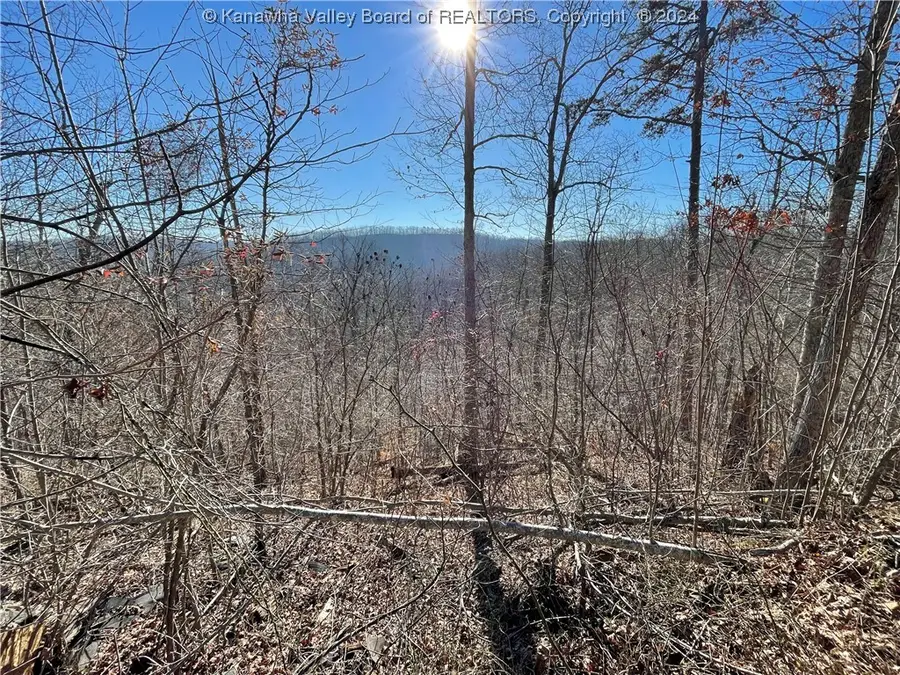 0 Two Mile Creek Road, Wayne, WV 25570 - Image #3