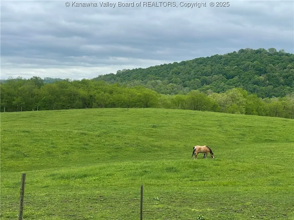 74 Long Meadow Lane, Worthington, WV 26591 - Image #1