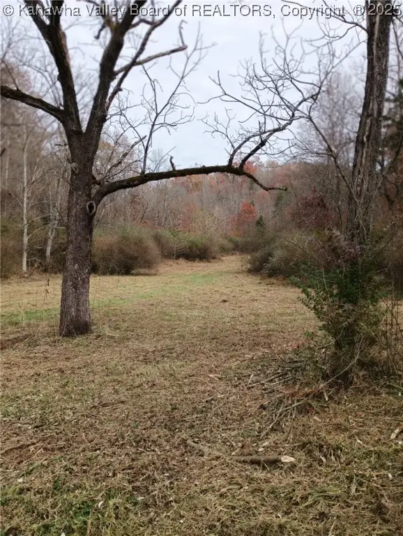 0 Wallace Road, Arbuckle, WV 25282 - Image #3