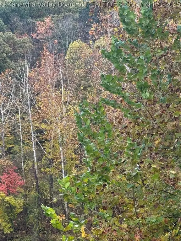 0 Sissonville Drive, Sissonville, WV 25320