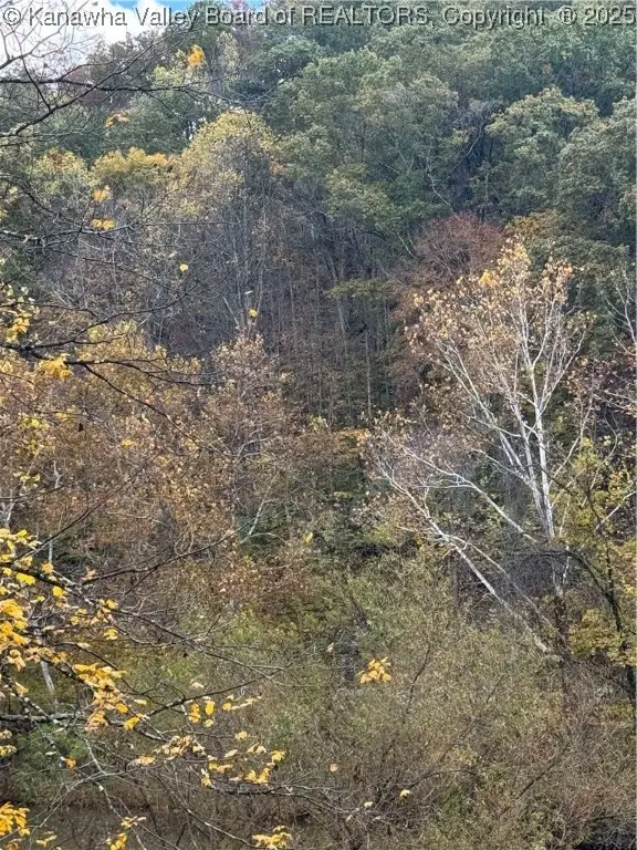 0 Sissonville Drive, Sissonville, WV 25320 - Image #2