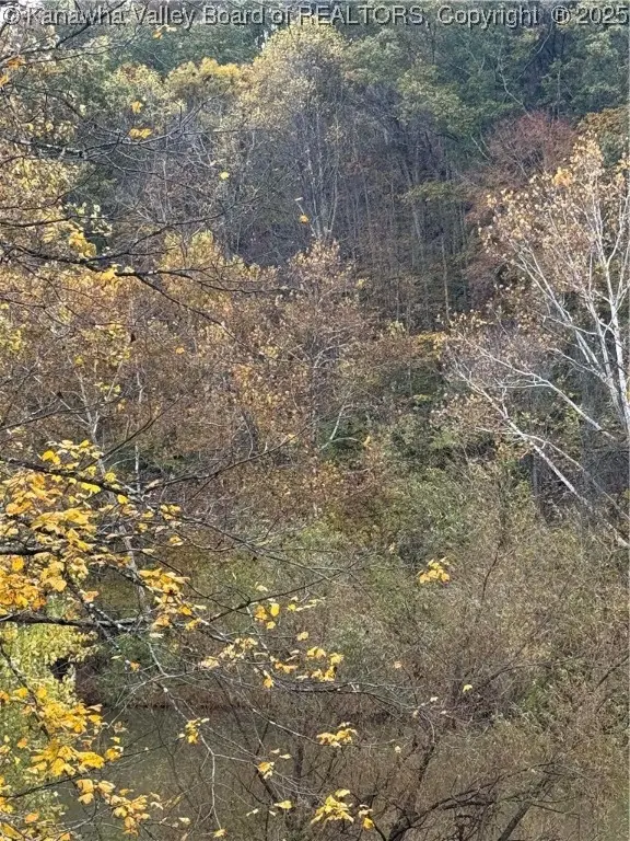 0 Sissonville Drive, Sissonville, WV 25320 - Image #3