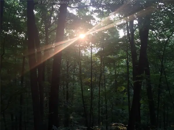 0 Fleshers Run Road, Ravenswood, WV 26164