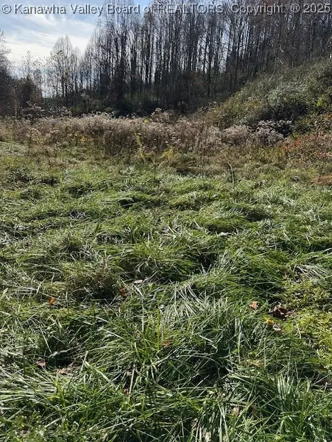 213 Plantation Road, Charleston, WV 25312 - Image #2