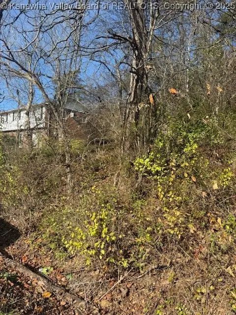 0 Kay Neva Lane, Charleston, WV 25312 - Image #2