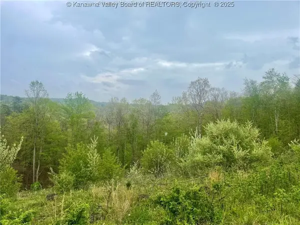 0 Siniaville Road, Ripley, WV 25271