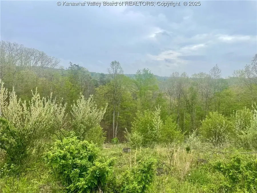 0 Siniaville Road, Ripley, WV 25271 - Image #2