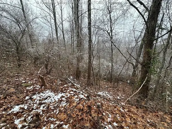 3988 Pinnacle View Road, Hurricane, WV 25526