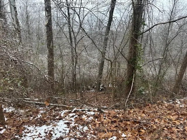 3988 Pinnacle View Road, Hurricane, WV 25526 - Image #3